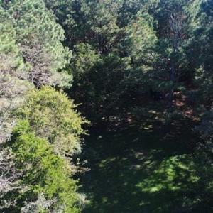 Photo of 1.47 acres of Residential Waterfront Land For Sale in Accomack County VA!