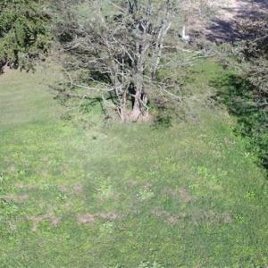 Photo of 1.47 acres of Residential Waterfront Land For Sale in Accomack County VA!