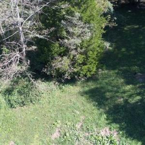Photo of 1.47 acres of Residential Waterfront Land For Sale in Accomack County VA!