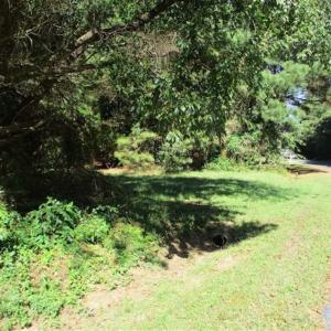 Photo of 1.47 acres of Residential Waterfront Land For Sale in Accomack County VA!