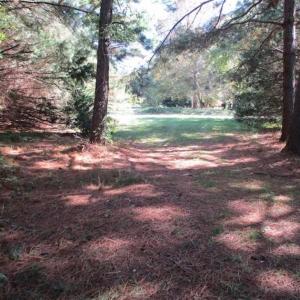 Photo of 1.47 acres of Residential Waterfront Land For Sale in Accomack County VA!