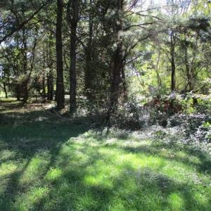 Photo of 1.47 acres of Residential Waterfront Land For Sale in Accomack County VA!