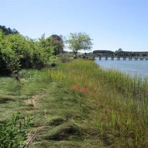 Photo of 1.47 acres of Residential Waterfront Land For Sale in Accomack County VA!