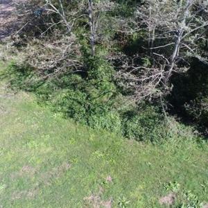 Photo of 1.47 acres of Residential Waterfront Land For Sale in Accomack County VA!