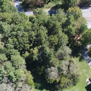 Photo of 1.47 acres of Residential Waterfront Land For Sale in Accomack County VA!