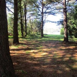 Photo of 1.47 acres of Residential Waterfront Land For Sale in Accomack County VA!