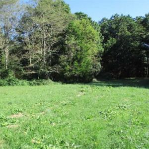Photo of 1.47 acres of Residential Waterfront Land For Sale in Accomack County VA!