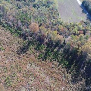 Photo of UNDER CONTRACT!!  46 acres of Recreational Timberland For Sale in King and Queen Co VA!