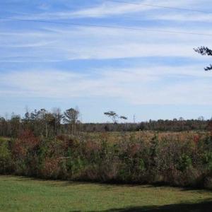 Photo of UNDER CONTRACT!!  46 acres of Recreational Timberland For Sale in King and Queen Co VA!