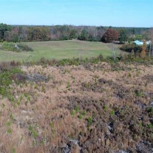 Photo of UNDER CONTRACT!!  46 acres of Recreational Timberland For Sale in King and Queen Co VA!