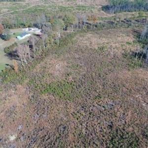 Photo of UNDER CONTRACT!!  46 acres of Recreational Timberland For Sale in King and Queen Co VA!