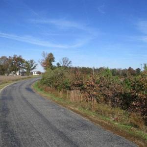 Photo of UNDER CONTRACT!!  46 acres of Recreational Timberland For Sale in King and Queen Co VA!