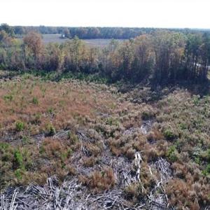 Photo of UNDER CONTRACT!!  46 acres of Recreational Timberland For Sale in King and Queen Co VA!