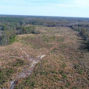 Photo of UNDER CONTRACT!!  46 acres of Recreational Timberland For Sale in King and Queen Co VA!