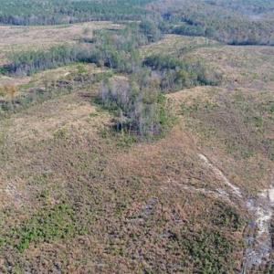 Photo of UNDER CONTRACT!!  46 acres of Recreational Timberland For Sale in King and Queen Co VA!