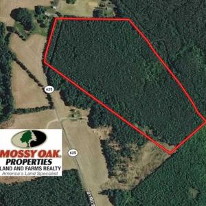 Photo of UNDER CONTRACT!!  46 acres of Recreational Timberland For Sale in King and Queen Co VA!