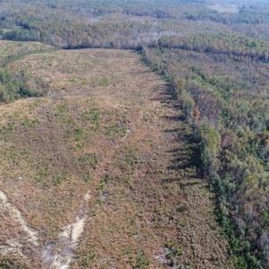 Photo of UNDER CONTRACT!!  46 acres of Recreational Timberland For Sale in King and Queen Co VA!