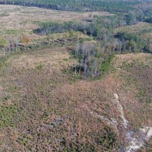 Photo of UNDER CONTRACT!!  46 acres of Recreational Timberland For Sale in King and Queen Co VA!