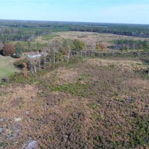 Photo of UNDER CONTRACT!!  46 acres of Recreational Timberland For Sale in King and Queen Co VA!