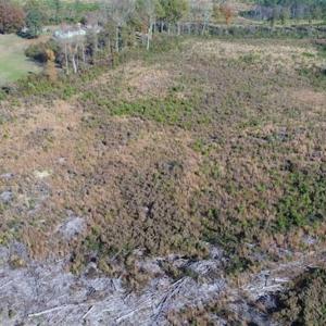 Photo of UNDER CONTRACT!!  46 acres of Recreational Timberland For Sale in King and Queen Co VA!