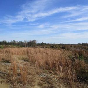 Photo of UNDER CONTRACT!!  46 acres of Recreational Timberland For Sale in King and Queen Co VA!
