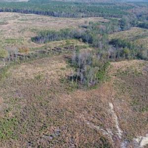 Photo of UNDER CONTRACT!!  46 acres of Recreational Timberland For Sale in King and Queen Co VA!