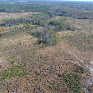 Photo of UNDER CONTRACT!!  46 acres of Recreational Timberland For Sale in King and Queen Co VA!