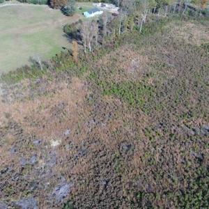 Photo of UNDER CONTRACT!!  46 acres of Recreational Timberland For Sale in King and Queen Co VA!