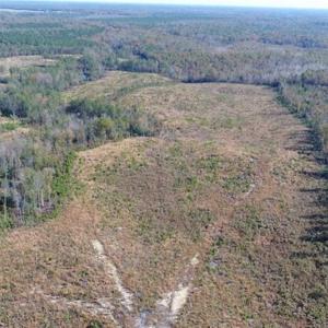 Photo of UNDER CONTRACT!!  46 acres of Recreational Timberland For Sale in King and Queen Co VA!