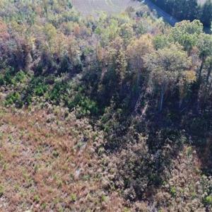 Photo of UNDER CONTRACT!!  46 acres of Recreational Timberland For Sale in King and Queen Co VA!