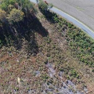 Photo of UNDER CONTRACT!!  46 acres of Recreational Timberland For Sale in King and Queen Co VA!