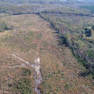 Photo of UNDER CONTRACT!!  46 acres of Recreational Timberland For Sale in King and Queen Co VA!