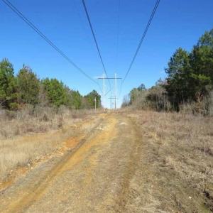 Photo of UNDER CONTRACT!!  104 Acres of Hunting and Timber Land For Sale in Lee County NC!