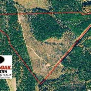 Photo of UNDER CONTRACT!!  104 Acres of Hunting and Timber Land For Sale in Lee County NC!