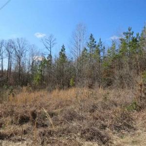 Photo of UNDER CONTRACT!!  104 Acres of Hunting and Timber Land For Sale in Lee County NC!