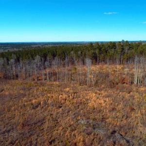 Photo of UNDER CONTRACT!!  104 Acres of Hunting and Timber Land For Sale in Lee County NC!