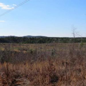 Photo of UNDER CONTRACT!!  104 Acres of Hunting and Timber Land For Sale in Lee County NC!