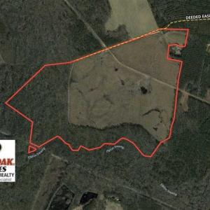 Photo of SOLD!!  327.5 acres of Hunting and Timberland for Sale in Bladen County NC!