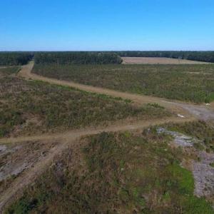 Photo of SOLD!!  327.5 acres of Hunting and Timberland for Sale in Bladen County NC!