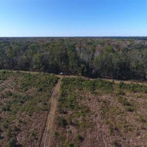 Photo of SOLD!!  327.5 acres of Hunting and Timberland for Sale in Bladen County NC!