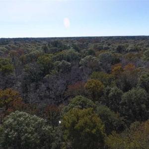 Photo of SOLD!!  327.5 acres of Hunting and Timberland for Sale in Bladen County NC!
