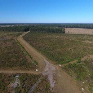 Photo of SOLD!!  327.5 acres of Hunting and Timberland for Sale in Bladen County NC!