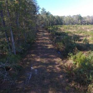 Photo of SOLD!!  327.5 acres of Hunting and Timberland for Sale in Bladen County NC!