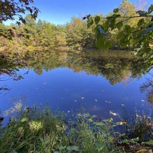 Photo of UNDER CONTRACT!!  10.94-acre Homesite (Lot-3) with Pond for Sale in Orange County, NC!
