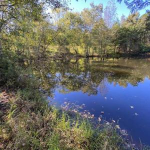 Photo of UNDER CONTRACT!!  10.94-acre Homesite (Lot-3) with Pond for Sale in Orange County, NC!