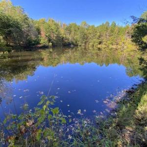 Photo of UNDER CONTRACT!!  10.94-acre Homesite (Lot-3) with Pond for Sale in Orange County, NC!