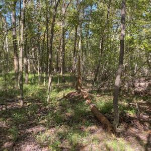 Photo of UNDER CONTRACT!!  10.94-acre Homesite (Lot-3) with Pond for Sale in Orange County, NC!