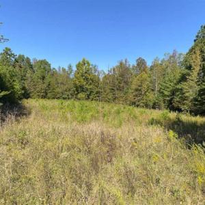 Photo of UNDER CONTRACT!!  10.94-acre Homesite (Lot-3) with Pond for Sale in Orange County, NC!