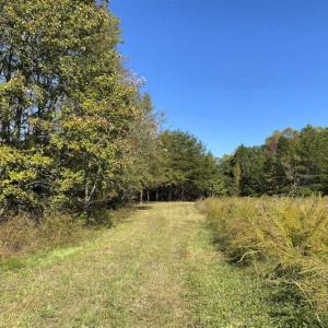 Photo of UNDER CONTRACT!!  10.94-acre Homesite (Lot-3) with Pond for Sale in Orange County, NC!