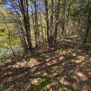 Photo of UNDER CONTRACT!!  10.94-acre Homesite (Lot-3) with Pond for Sale in Orange County, NC!